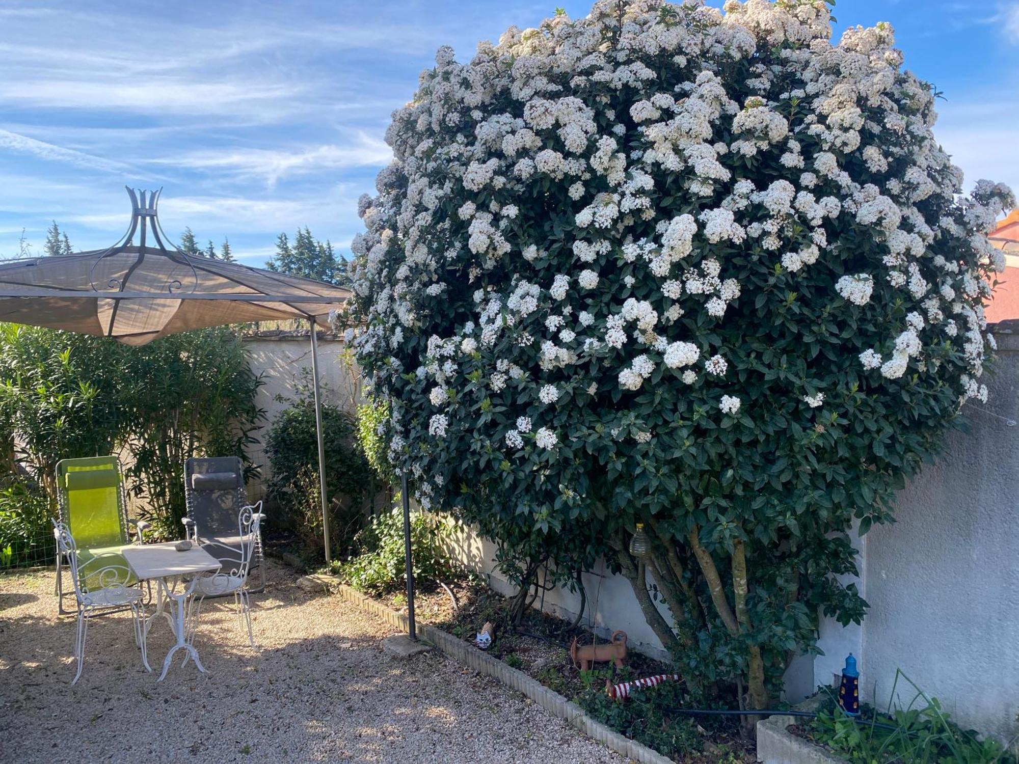 La Roubine, * Velleron