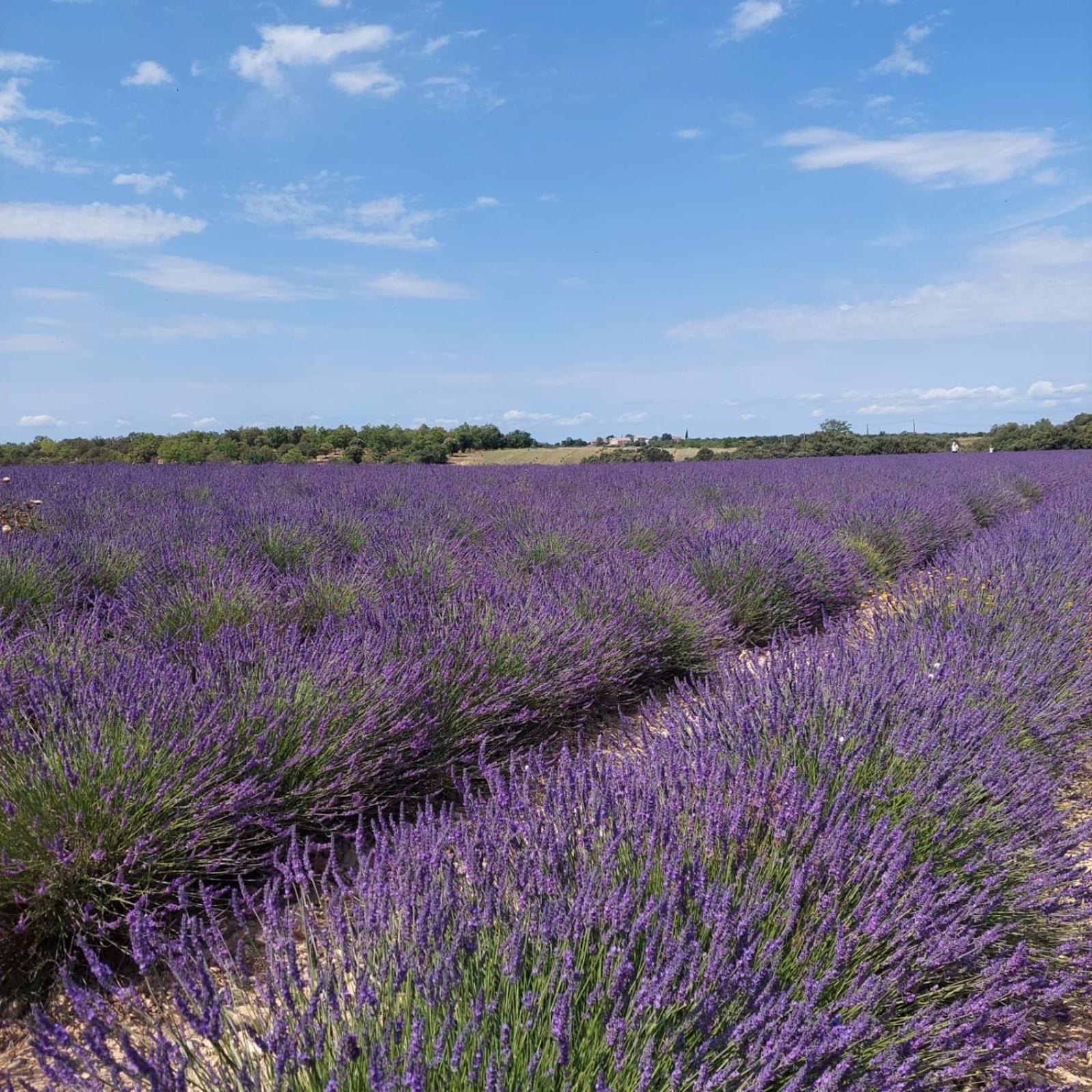La Roubine, * Velleron