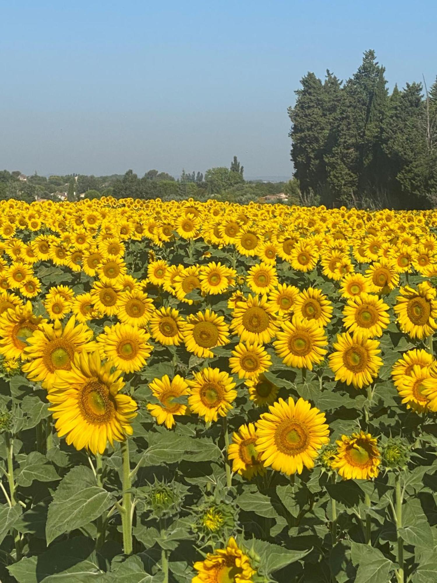 Hébergement de vacances La Roubine,